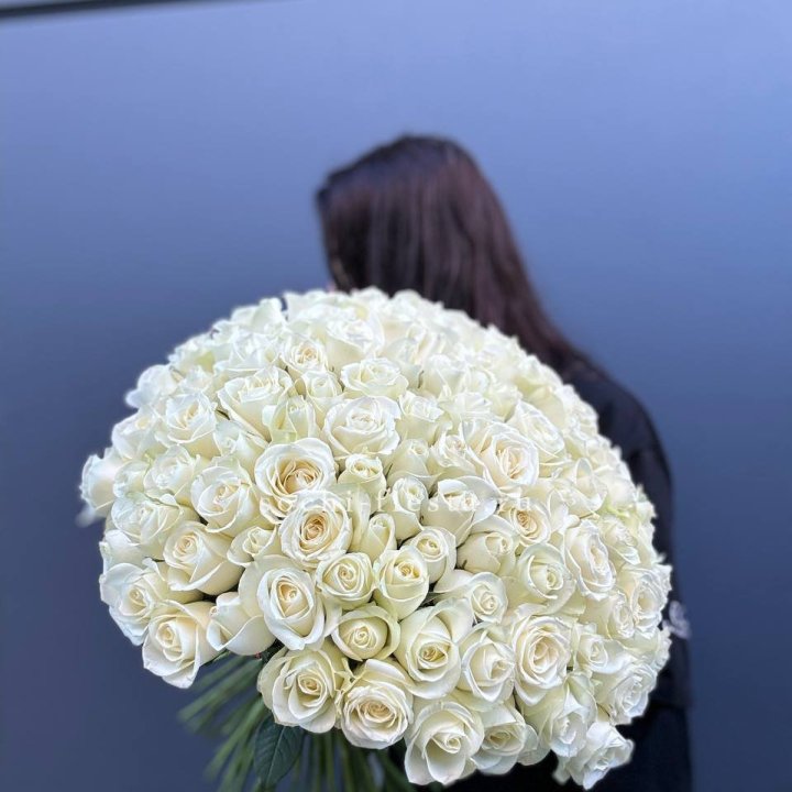 Охапка из 101 белой розы  в Грозные