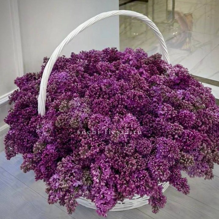 Корзина сирени в Грозные