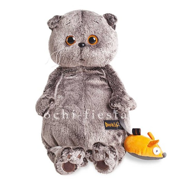 Кот Басик с мышкой в Грозные