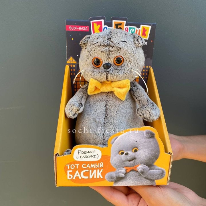 Кот Басик с бабочкой в Грозные