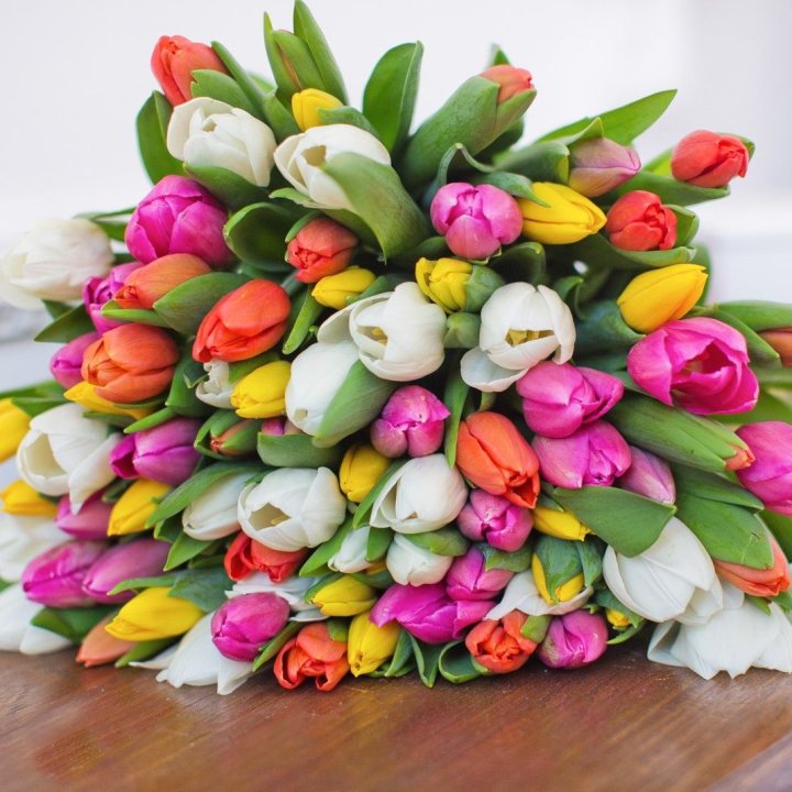 79 тюльпанов "Рандом" в Грозные