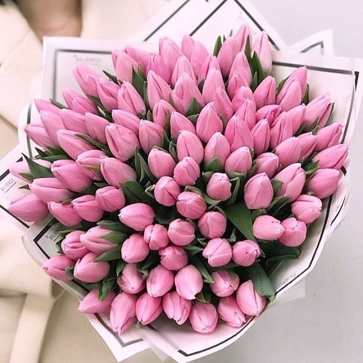 101 розовый тюльпан в белом в Грозные
