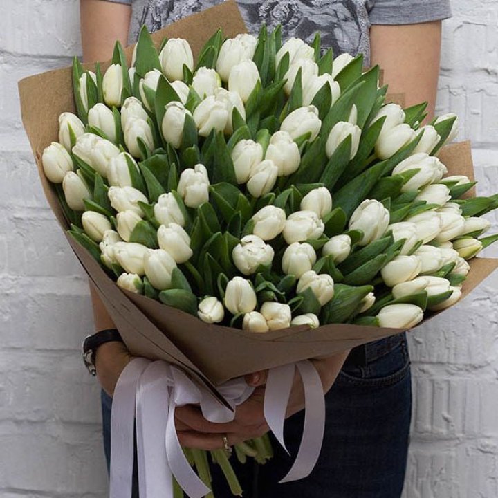 101 тюльпан сноу в Грозные