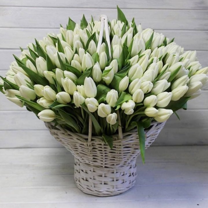 Корзина из 151 тюльпана в Грозные