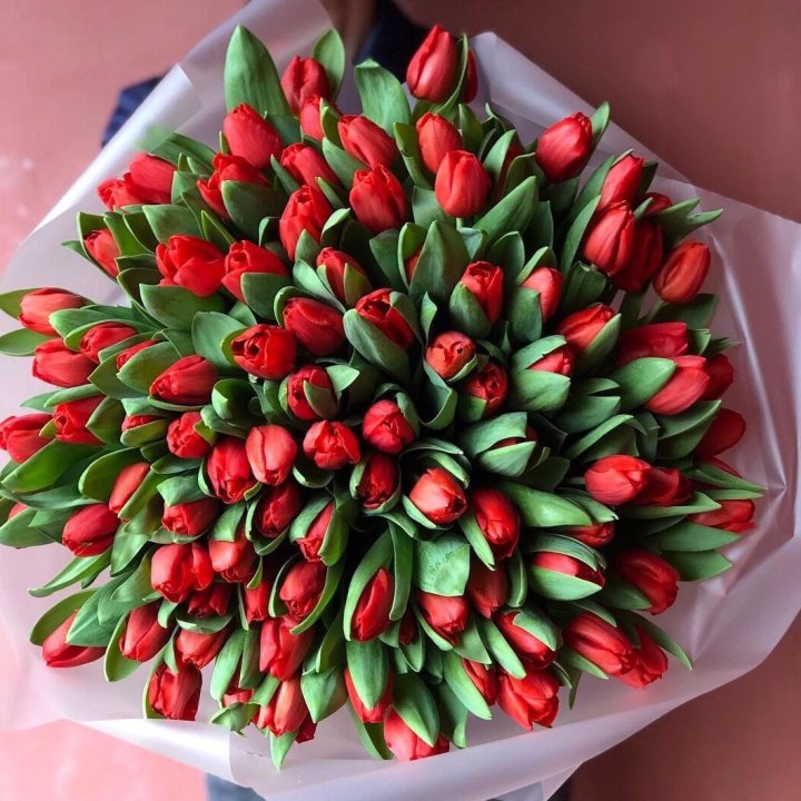 101 красный тюльпан в Грозные